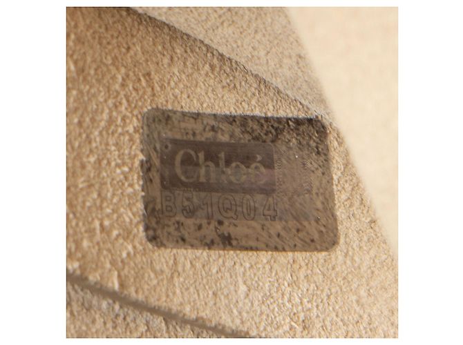 Chloé Borsa a tracolla Faye Small in scamosciato di vitello Chloe Marrone - vista 2