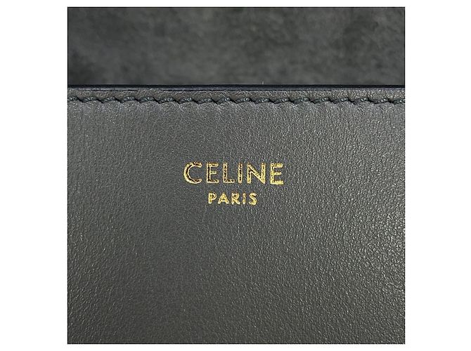 Triomphe Céline Borsa a tracolla in pelle grigia Celine Marrone - vista 16