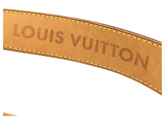 Borsa a Spalla Louis Vuitton Monogram Delightful PM Marrone - vista 4