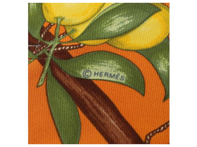 Hermès Hermes Petit Carré 45 Oranges et Citrons Scarf Multicolore Arancione Giallo - vista 2