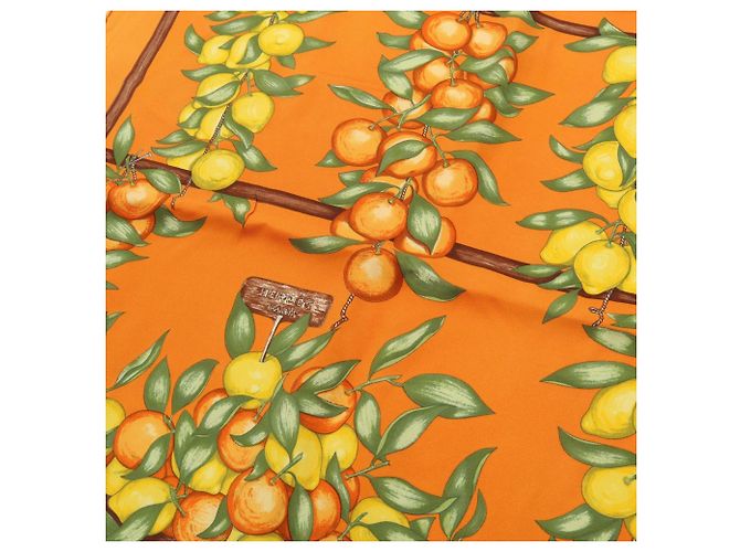Hermès Hermes Petit Carré 45 Oranges et Citrons Scarf Multicolore Arancione Giallo - vista 6