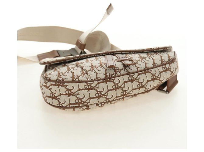 Borsa Saddle in tela Trotter Christian Dior Cactus Jack Beige Auth 190528M Argento - vista 12