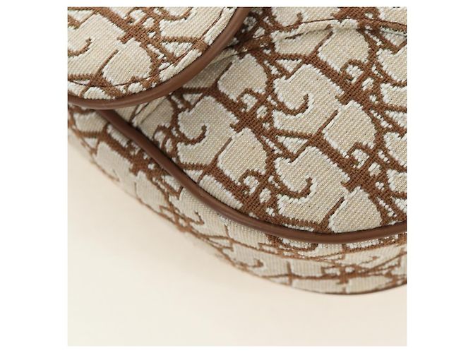 Borsa Saddle in tela Trotter Christian Dior Cactus Jack Beige Auth 190528M Argento - vista 13