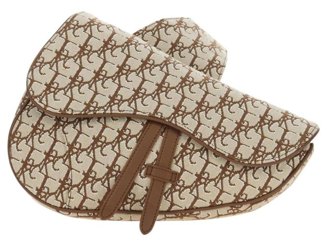 Borsa Saddle in tela Trotter Christian Dior Cactus Jack Beige Auth 190528M Argento - vista 2