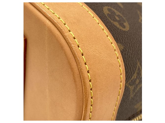 Borsa Louis Vuitton Alma PM Monogramma - vista 11