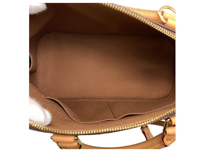 Borsa Louis Vuitton Alma PM Monogramma - vista 5