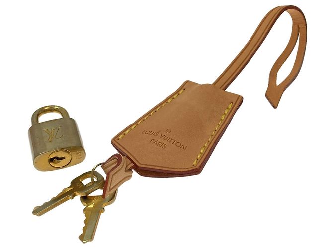Borsa Louis Vuitton Alma PM Monogramma - vista 8