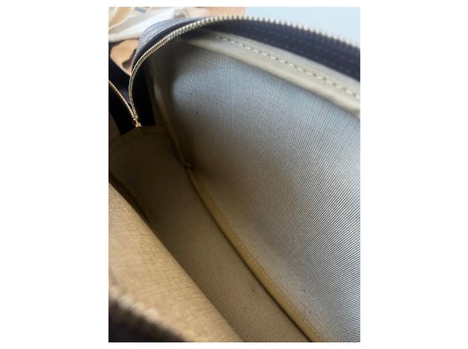 Louis Vuitton Reporter PM Castaño Dorado - vista 9