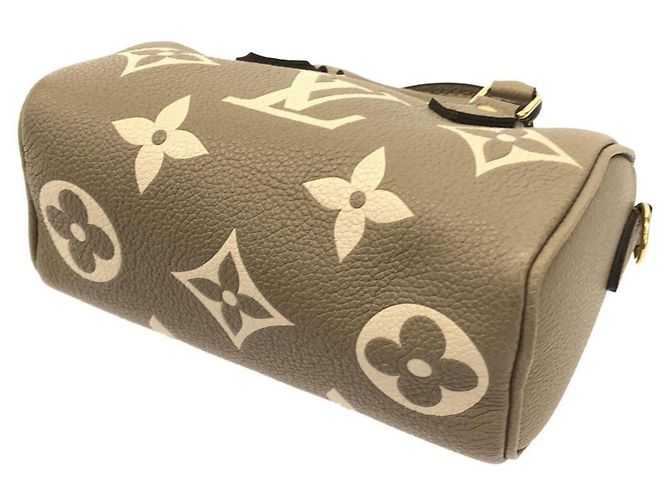 Borsa Boston Louis Vuitton Bicolor Monogram Empreinte Nano Speedy Grigio Crudo - vista 3