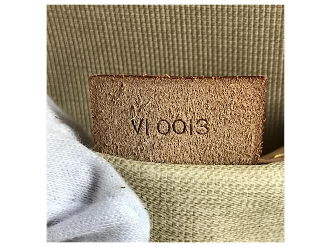 Borsa Tote Louis Vuitton Monogram Excursion Marrone - vista 14