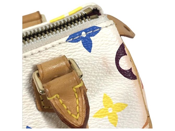 Borsa Boston Mini Speedy Louis Vuitton Monogram Multicolor Bianco - vista 12