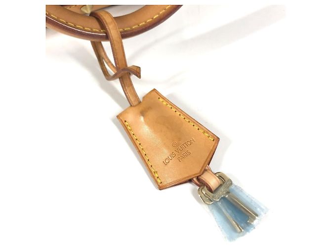 Borsa a Spalla Louis Vuitton Monogram Neo Cabas Ambre MM Marrone - vista 17