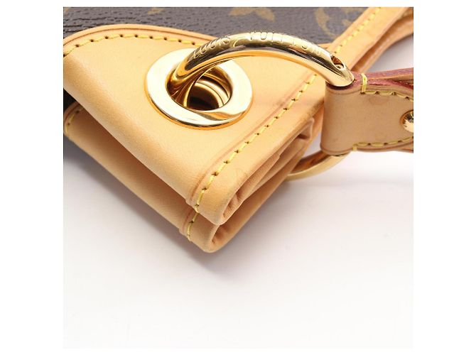 Borsa a Spalla/Borsa a Mano Galliera PM Louis Vuitton Marrone - vista 9