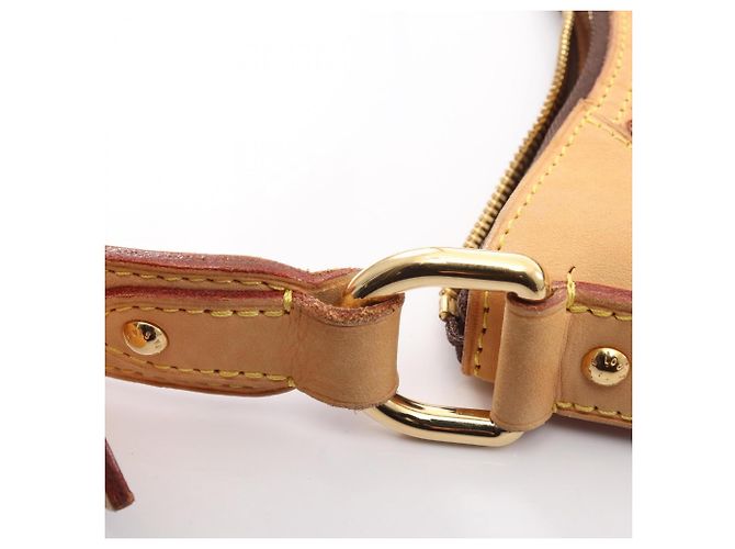 Borsa a Spalla Louis Vuitton Thames PM Marrone - vista 11