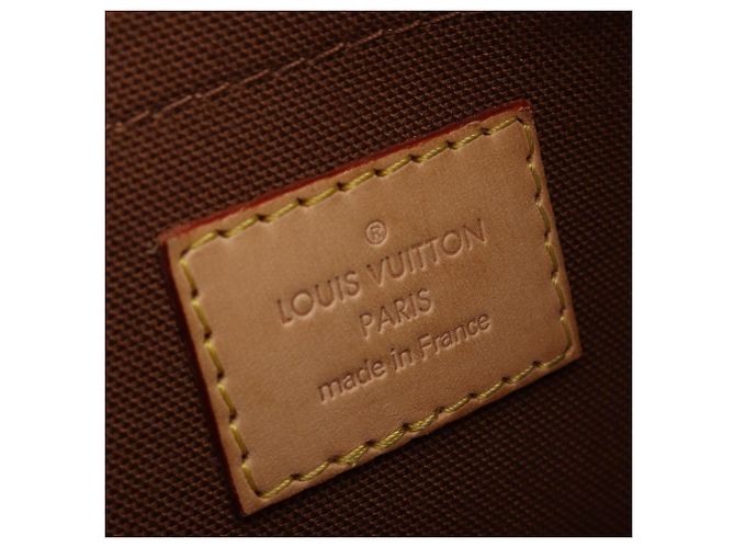 Borsa a Spalla Louis Vuitton Thames PM Marrone - vista 4