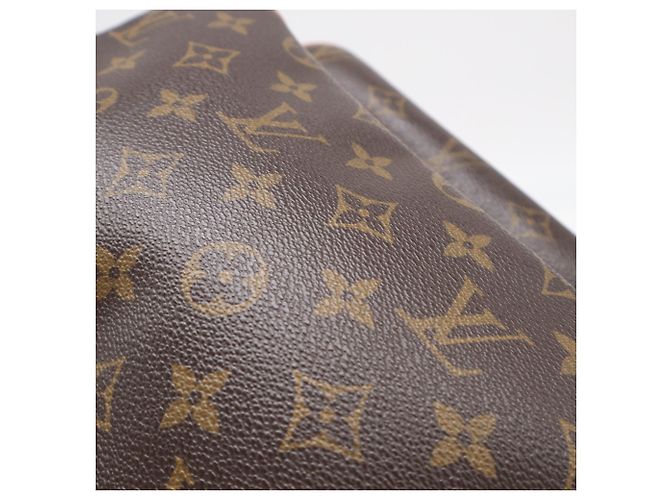 Borsa a Spalla Louis Vuitton Monogram Nile Marrone Beige Monogramma - vista 4