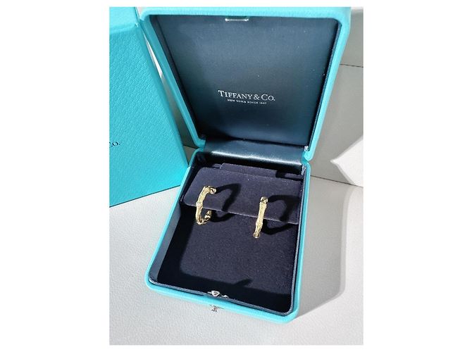 Orecchini Tiffany & Co. Ti Fine Bamboo Circular Joint Oro Giallo D'oro - vista 2