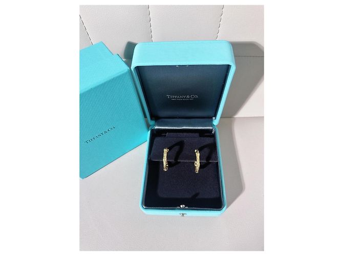 Orecchini Tiffany & Co. Ti Fine Bamboo Circular Joint Oro Giallo D'oro - vista 4