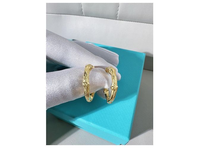 Orecchini Tiffany & Co. Ti Fine Bamboo Circular Joint Oro Giallo D'oro - vista 5