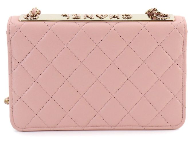 Portafoglio con catena Trendy CC Chanel Rosa - vista 2