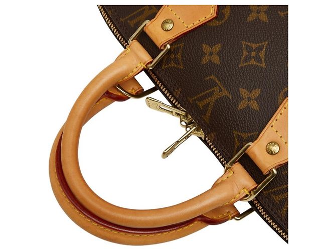 Borsa Louis Vuitton Monogram Alma PM Marrone - vista 4