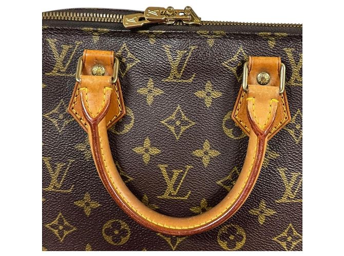 Borsa Louis Vuitton Alma Monogram Marrone - vista 12