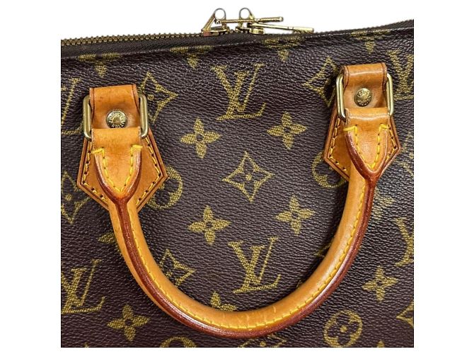 Borsa Louis Vuitton Alma Monogram Marrone - vista 13