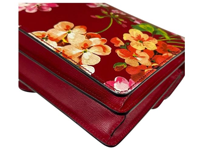 Borsa a tracolla Gucci Dionysus GG Blooms Rosso - vista 13