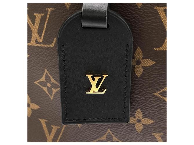 Borsa a Spalla Louis Vuitton Monogram Odeon PM Marrone Nero - vista 4