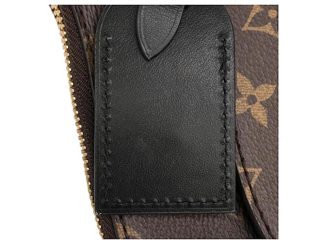 Borsa a Spalla Louis Vuitton Monogram Odeon PM Marrone Nero - vista 5