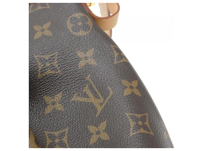 Borsa Louis Vuitton Monogram Turenne MM Marrone - vista 5