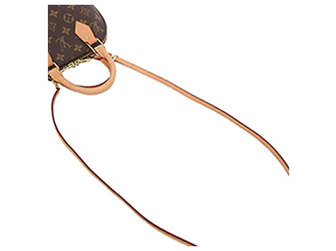 Louis Vuitton Marrón Monogram Alma BB Castaño - vista 11