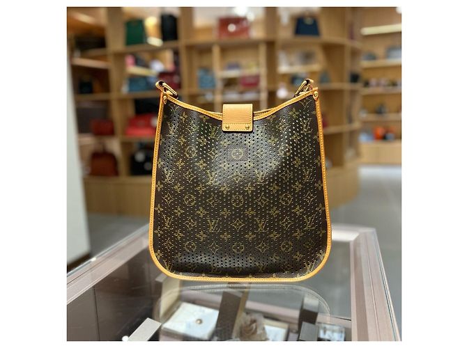 Louis Vuitton Borsa a Tracolla Evelyn Marrone Verde - vista 2