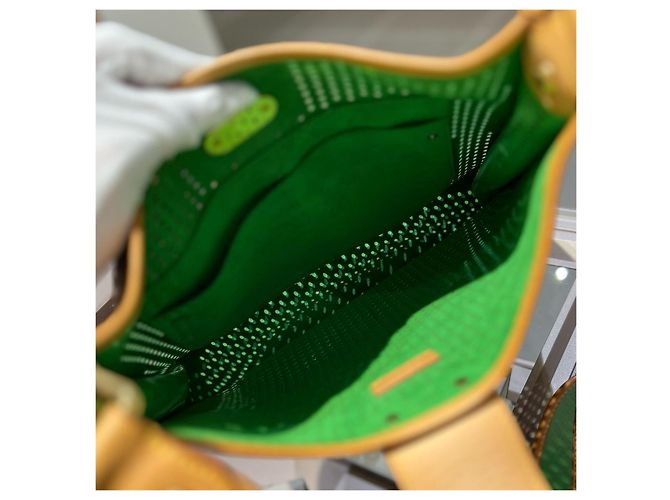 Louis Vuitton Borsa a Tracolla Evelyn Marrone Verde - vista 6