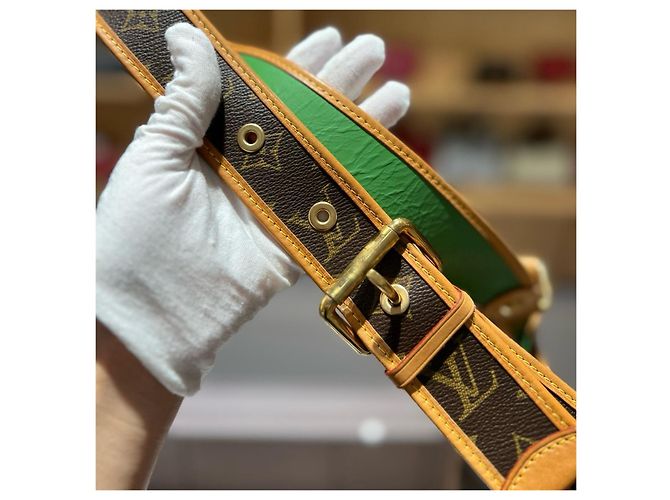 Louis Vuitton Borsa a Tracolla Evelyn Marrone Verde - vista 9