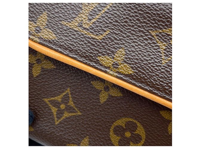 Louis Vuitton Monogram Pochette Florentine Marrone Monogramma - vista 9