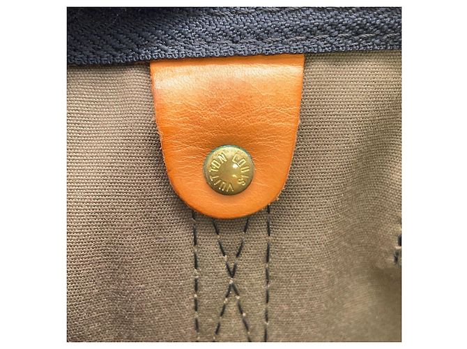 Borsa Louis Vuitton Monogram Fleurage Speedy 35 Cachi Monogramma - vista 12