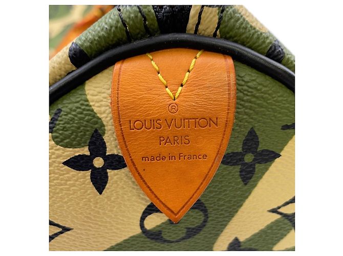 Borsa Louis Vuitton Monogram Fleurage Speedy 35 Cachi Monogramma - vista 15