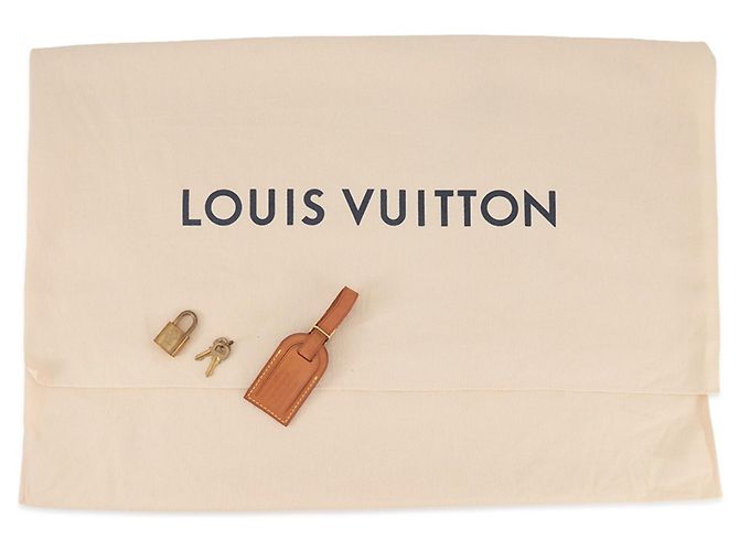 Borsa Louis Vuitton Monogram Fleurage Speedy 35 Cachi Monogramma - vista 16