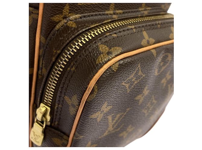 Bolso de Hombro Louis Vuitton Monogram Amazon Castaño - vista 4