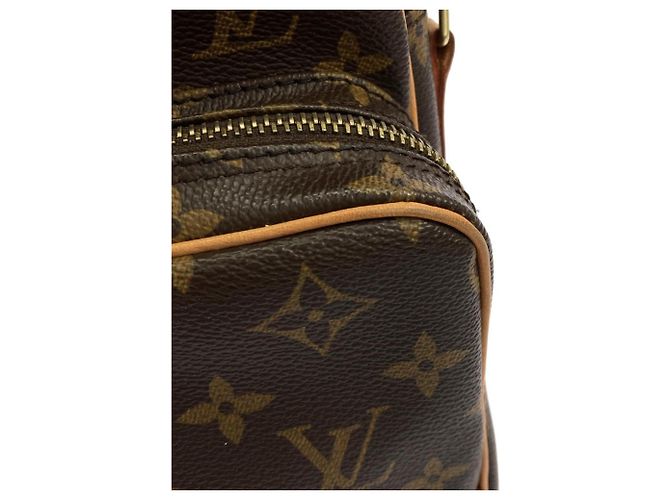 Bolso de Hombro Louis Vuitton Monogram Amazon Castaño - vista 5