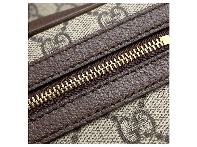 Piccola borsa a tracolla Gucci Ophidia GG Supreme Multicolore Beige - vista 10