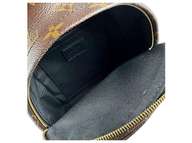 Louis Vuitton Monogram Palm Springs Mini Backpack Braun Monogramm - Ansicht 5