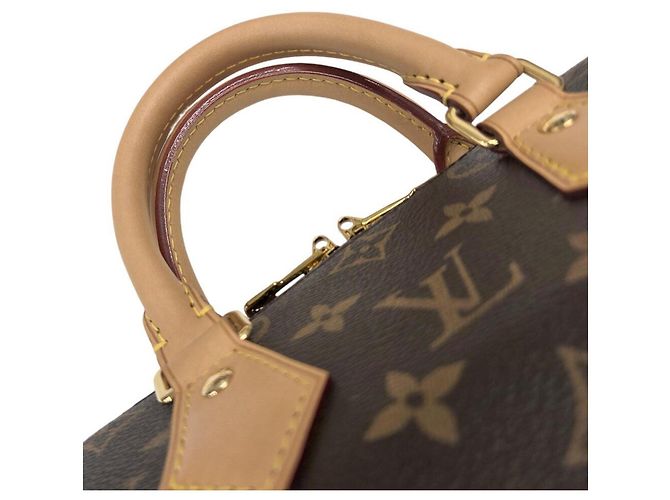 Borsa Louis Vuitton Speedy Bandoulière 20 Monogram Marrone - vista 10
