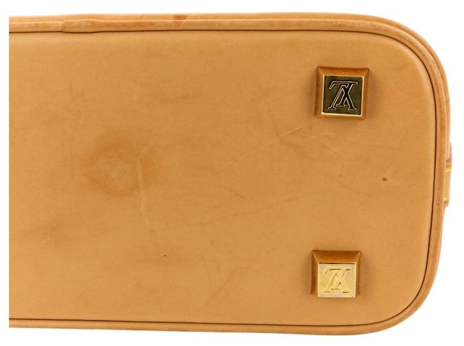 Borsa Tote Louis Vuitton Cabas Ambre PM Marrone - vista 15
