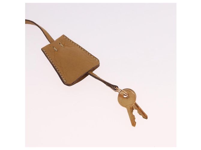 Borsa a Spalla in Pelle Beige Oro PRADA Auth gh2210A D'oro - vista 19
