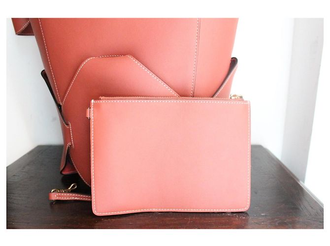 Borsa a secchiello Céline rosa scuro in pelle e tela Marrone - vista 10