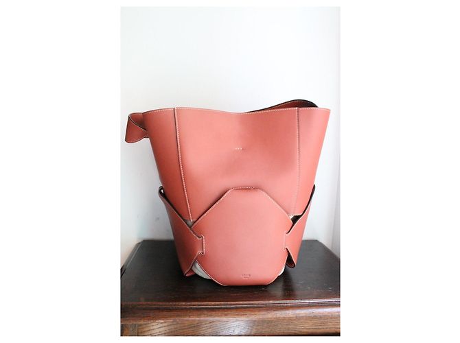 Borsa a secchiello Céline rosa scuro in pelle e tela Marrone - vista 3