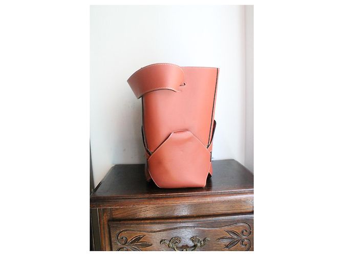Borsa a secchiello Céline rosa scuro in pelle e tela Marrone - vista 6