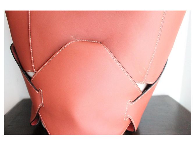Borsa a secchiello Céline rosa scuro in pelle e tela Marrone - vista 8